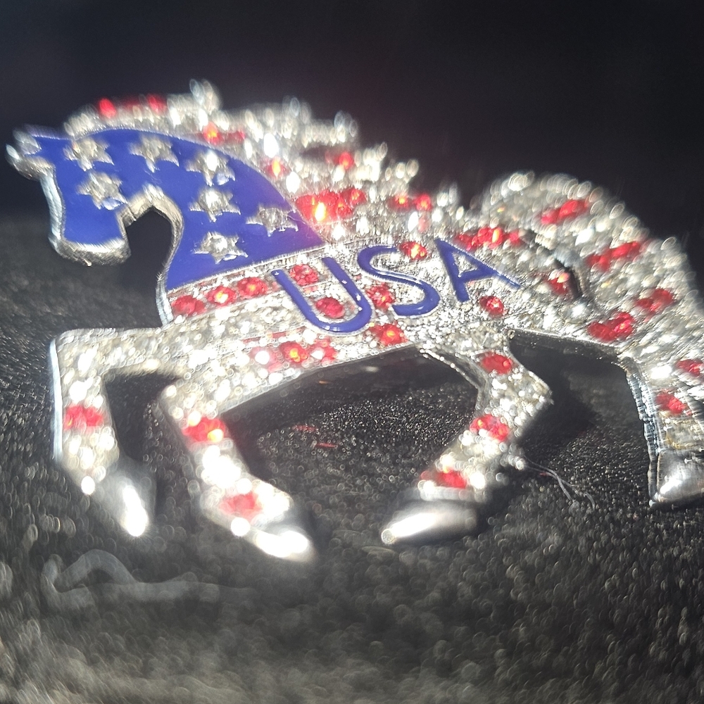 Qty 2 NWT Patriotic USA Flag Rhinestone Horse Brooches – Gold & Silver Tone - Picture 7 of 9